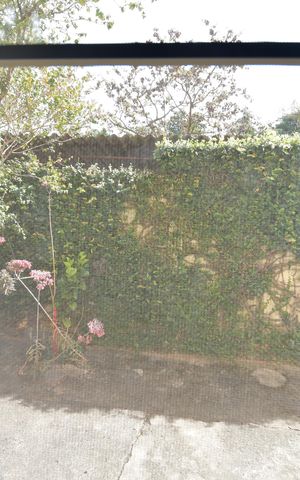 Apartamento à venda com 50m², 2 quartos e 1 vagaQuarto 2 - Vista