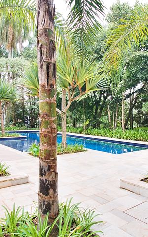 Apartamento para alugar com 47m², 2 quartos e 1 vaga Apartamento para alugar com 47m², 2 quartos e 1 vagaÁrea comum - Piscina