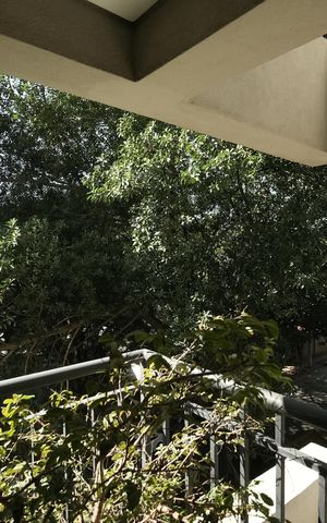 Apartamento à venda com 65m², 2 quartos e 2 vagasSacada