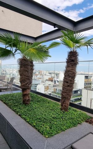 Apartamento para alugar com 103m², 2 quartos e 1 vaga