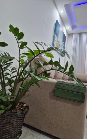 Apartamento para alugar com 50m², 2 quartos e 1 vaga Apartamento para alugar com 50m², 2 quartos e 1 vagaSala