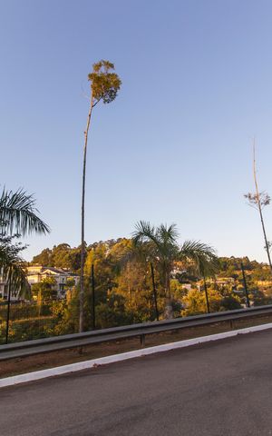 Casa de condomínio para alugar com 512m², 4 quartos e 3 vagasÁrea comum
