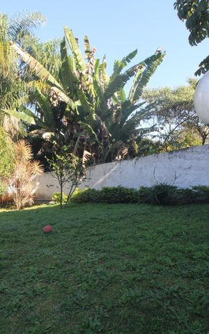 Casa para alugar com 409m², 4 quartos e 5 vagasJardim