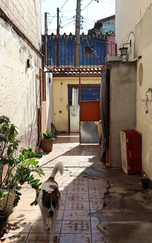 Casa à venda com 165m², 3 quartos e 3 vagasQuintal