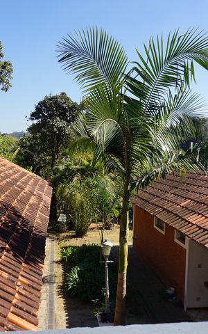 Casa para alugar com 1478m², 5 quartos e 4 vagasVista da Suíte