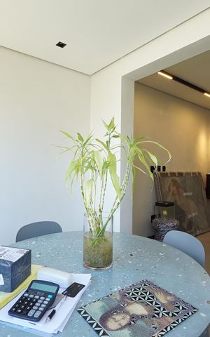 Apartamento para alugar com 81m², 3 quartos e 3 vagasVaranda