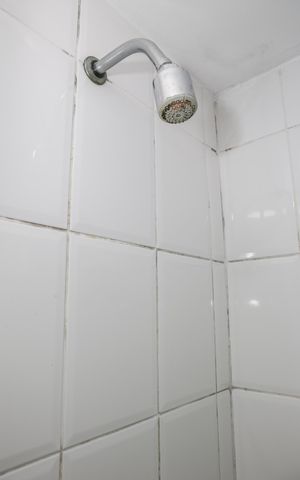Apartamento à venda com 78m², 3 quartos e 1 vaga Apartamento à venda com 78m², 3 quartos e 1 vagaBanheiro da Suíte