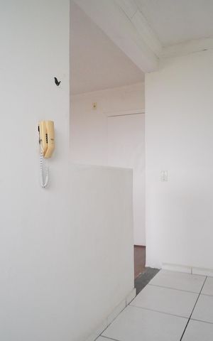 Apartamento para alugar com 50m², 2 quartos e 1 vagaCozinha