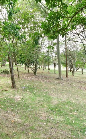 Casa de condomínio para alugar com 235m², 3 quartos e 4 vagasÁrea comum