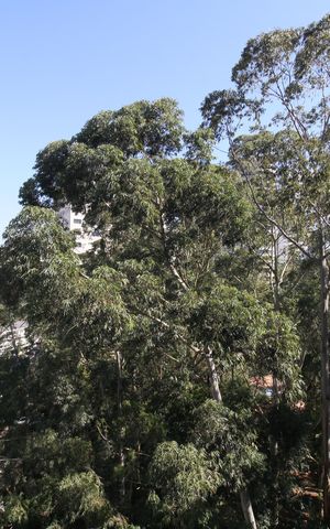Apartamento à venda com 90m², 2 quartos e 1 vagaVista da Varanda Gourmet