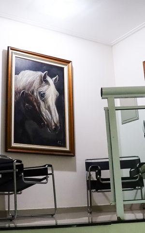 Casa para alugar com 425m², 5 quartos e 2 vagas