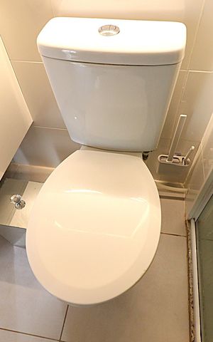 Apartamento à venda com 45m², 2 quartos e 1 vagaBanheiro 