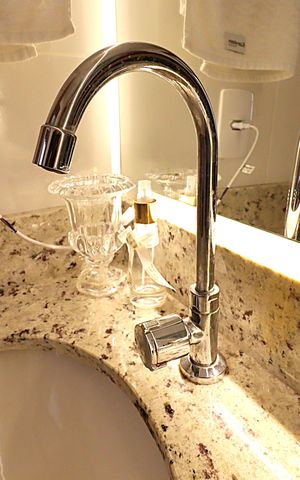 Apartamento à venda com 45m², 2 quartos e 1 vagaBanheiro - torneira