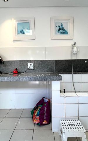 Apartamento para alugar com 55m², 2 quartos e sem vaga Apartamento para alugar com 55m², 2 quartos e sem vagaÁrea comum - Pet Care