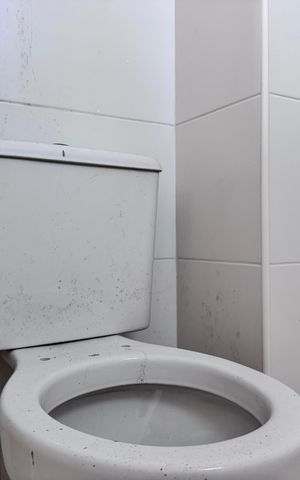 Apartamento para alugar com 135m², 2 quartos e 2 vagas Apartamento para alugar com 135m², 2 quartos e 2 vagasBanheiro Social
