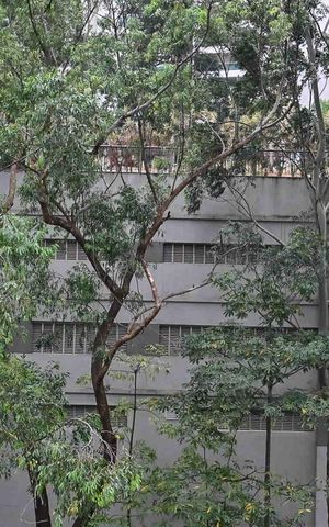Apartamento à venda com 74m², 2 quartos e 2 vagasVista da Suíte