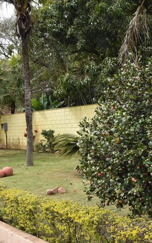 Casa de condomínio à venda com 991m², 3 quartos e 2 vagas Casa de condomínio à venda com 991m², 3 quartos e 2 vagasQuintal