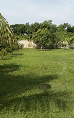 Casa para alugar com 103m², 2 quartos e 2 vagas Casa para alugar com 103m², 2 quartos e 2 vagasÁrea externa