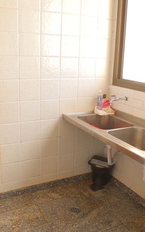 Apartamento à venda com 335m², 4 quartos e 2 vagasÁrea de Serviço