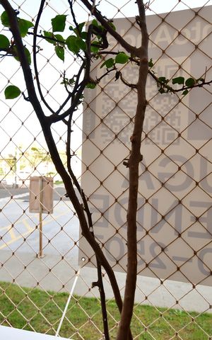 Apartamento para alugar com 54m², 2 quartos e 1 vagaPlaca