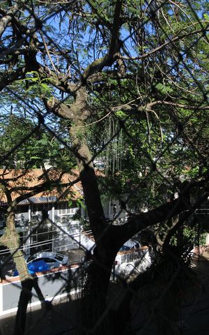 Apartamento para alugar com 56m², 2 quartos e 1 vagaSala - Vista