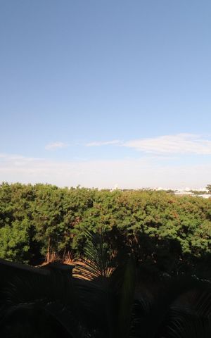 Apartamento para alugar com 55m², 2 quartos e 1 vagaVista da Sacada