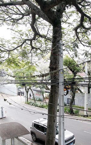 Apartamento à venda com 98m², 3 quartos e 1 vagaQuarto 1 Suíte Vista