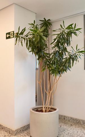 Apartamento para alugar com 54m², 2 quartos e 2 vagas Apartamento para alugar com 54m², 2 quartos e 2 vagasHall de entrada