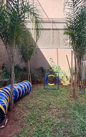 Apartamento para alugar com 30m², 1 quarto e sem vaga