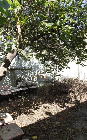 Casa para alugar com 120m², 7 quartos e 4 vagasQuintal
