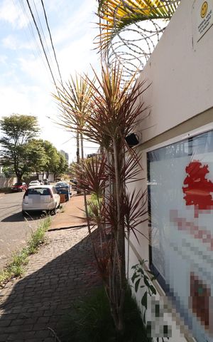 Casa para alugar com 270m², 5 quartos e 2 vagasPlaquinha