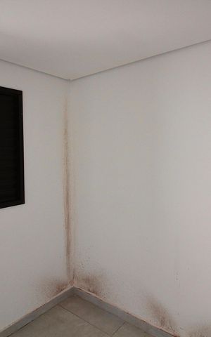 Apartamento à venda com 30m², 2 quartos e sem vaga Apartamento à venda com 30m², 2 quartos e sem vagaQuarto 1