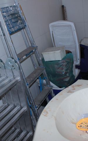 Apartamento para alugar com 50m², 1 quarto e sem vagaBanheiro de serviço
