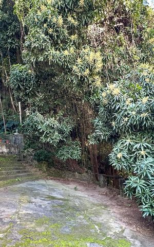 Casa para alugar com 90m², 2 quartos e sem vaga