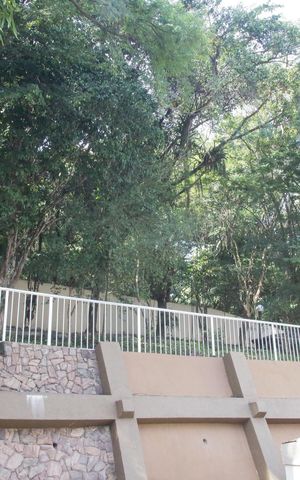 Apartamento para alugar com 74m², 3 quartos e 1 vagaBosque
