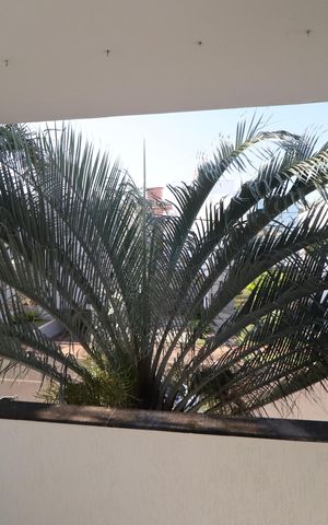 Casa de condomínio para alugar com 259m², 4 quartos e 4 vagasVaranda da Suíte 2