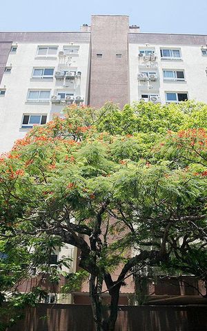 Apartamento à venda com 67m², 2 quartos e 1 vagaFachada