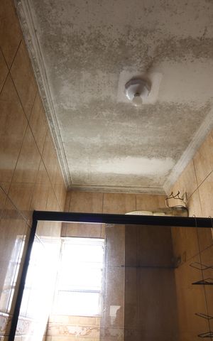 Casa para alugar com 150m², 3 quartos e 1 vagaBanheiro social