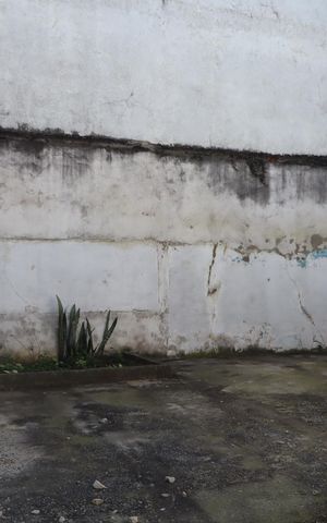 Casa à venda com 135m², 2 quartos e 8 vagasQuintal