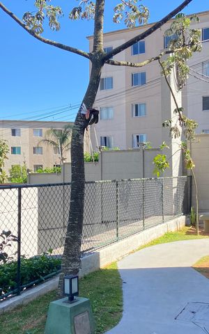 Apartamento à venda com 40m², 2 quartos e sem vaga Apartamento à venda com 40m², 2 quartos e sem vagaÁrea externa