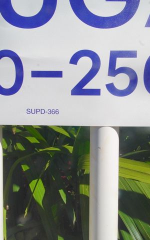 Casa para alugar com 150m², 3 quartos e 1 vagaSUPD-366