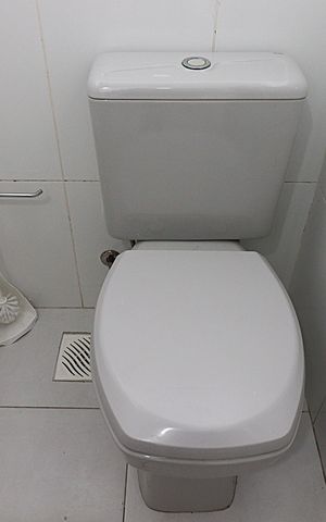 Apartamento à venda com 71m², 2 quartos e sem vagaLavabo