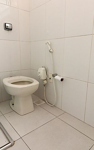 Apartamento à venda com 71m², 2 quartos e sem vagaBanheiro
