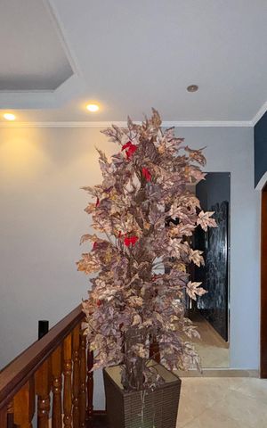 Casa à venda com 210m², 3 quartos e 2 vagas Casa à venda com 210m², 3 quartos e 2 vagasEntrada - Sala