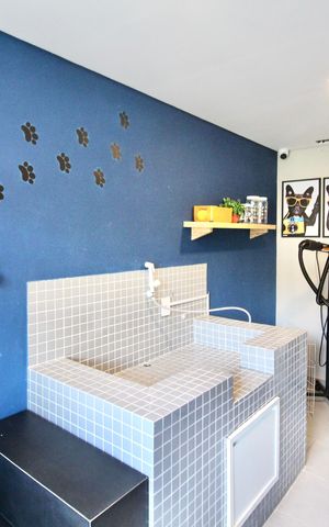 Apartamento para alugar com 35m², 2 quartos e sem vaga Apartamento para alugar com 35m², 2 quartos e sem vagaÁrea comum