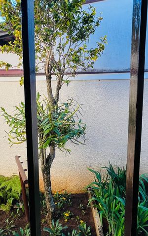 Casa à venda com 139m², 3 quartos e 2 vagas