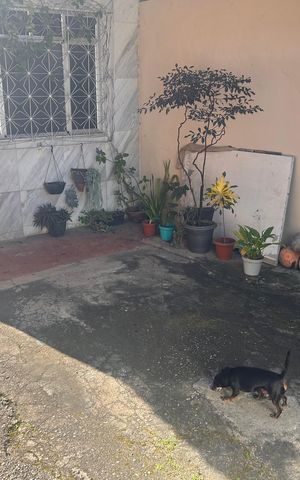 Casa à venda com 592m², 5 quartos e 4 vagas Casa à venda com 592m², 5 quartos e 4 vagasÁrea externa