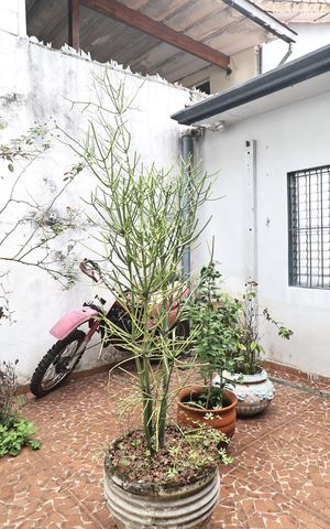 Casa à venda com 264m², 3 quartos e 3 vagas Casa à venda com 264m², 3 quartos e 3 vagasQuintal