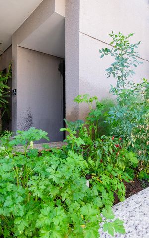 Apartamento para alugar com 30m², 1 quarto e sem vaga Apartamento para alugar com 30m², 1 quarto e sem vagaÁrea comum