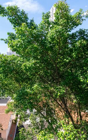 Apartamento à venda com 85m², 2 quartos e 1 vaga Apartamento à venda com 85m², 2 quartos e 1 vagaVista da Suíte 1